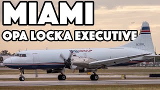 Miamis EXECUTIVE Plane Spotting Classic  Private Aircraft at Opa Locka OPF  KOPF [upl. by Korwun]