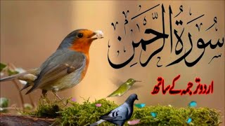 SURAH RAHMAN TARJUMA K SATH  BY QARI Al SHAIKH MUHAMMAD  EP 00273  QURAN TILAWAT BEAUTIFUL VOICE [upl. by Michaeu928]