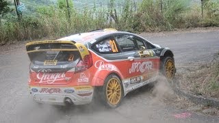 WRC Rallye Deutschland 2013 HD Action amp MistakesPure sound [upl. by Ylhsa637]