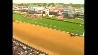 Rachel Alexandra  All 13 wins [upl. by Yttisahc]