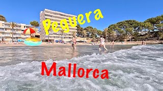 The Best of Peguera Mallorca  The Ultimate Guide [upl. by Ainatit]