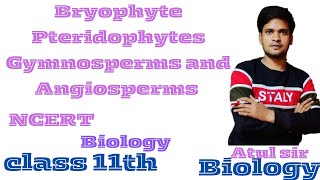 Bryophyte Pteridophytes Gymnosperms and Angiosperms NCERT biology Class 11th By Atul sir [upl. by Ntsuj]