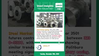 Steel Market Insights  November 19 2024 [upl. by Arehsat403]