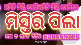 ମିସ୍ତିରିପିଲା‌ ବିଡିଓ 🙏🙏😍 [upl. by Greysun783]