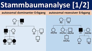 Stammbaumanalyse 12  autosomal dominante bzw rezessive Erbgänge Biologie Oberstufe Genetik [upl. by Anibas156]