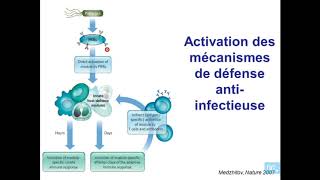 immunité antivirale partie 1 [upl. by Bobbie]