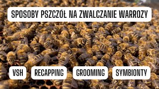 Jak dzikie pszczoły miodne leczą się z chorób [upl. by Nivaj576]