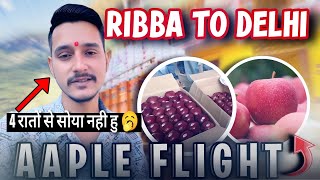 Ribba To Delhi Apple 🍎 Loading  4 रातों से लगातार जागा हूँ🥱  Trucking In India 🇮🇳  vlog [upl. by Carolyn]