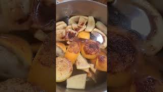 Orange Peels Green Apples and Cinnamon Simmering naturalhomearoma holidayscents [upl. by Hanad]