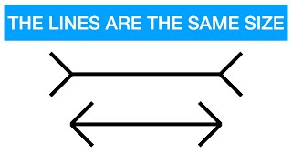 Psychology of the MullerLyer Illusion [upl. by Harihat]