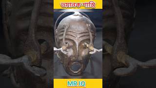 ভয়ানক শাস্তি। Mr IQ । shorts assamese assam assamesevideo assamesenews [upl. by Magnuson]