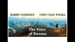 Harry Coseman amp STRATOVANI  ChitChat Polka Official Music Video  TritschTratsch” [upl. by Trici]