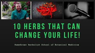 10 Plants That Can Change Your Life Herbal Medicines In Your Own Backyard [upl. by Shwalb407]