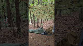 Calm Before The Storm Rainy Bivy Camp camping outdoors bushcraft raincamping [upl. by Joscelin]