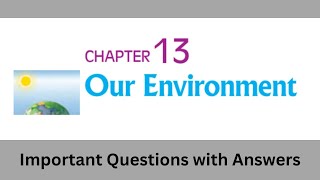 Ch13 Our Environment  Important Questions and Answers  Class 10 Science [upl. by Nnylrac]