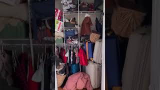 DIY Reachin Closet Makeover See Before and After Transformation [upl. by Reffinej]