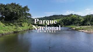 DAINTREE NATIONAL PARK DRONE VIEW 4K [upl. by Pokorny685]