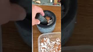 Using Egg Shells For Slugs amp Snails Control eggshells [upl. by Ayadahs]