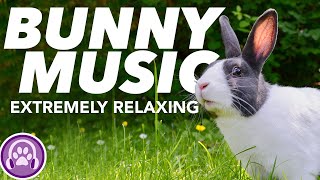 Music for Rabbits  EXTREME RELAXATION  Soothing Melodies 8Hours [upl. by Oznole]