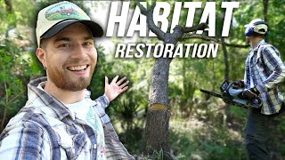 Restoring A Bottomland Forest Native Plant Gardening amp Rewilding Houston Texas [upl. by Andriana]