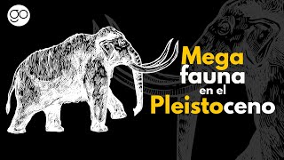 Megafauna en el Pleistoceno [upl. by Aranaj]