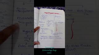 Endocrinology Drugs NameSummary pharma 3rdyear mbbs lectures medicine notes subscribe yt [upl. by Akina]