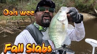 Catching Crappie using Minnows  Bobber and Livescope [upl. by Oirrad]