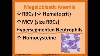 Folate amp B12 Deficiency Megaloblastic Anemia Hypersegmented Macrocytic Methylmalonic [upl. by Cavuoto55]