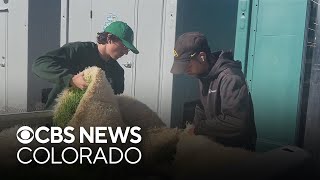 Sedaliabased company is putting a Farm in a Box to help feed people in food insecure areas [upl. by Naimed]