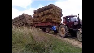 FS22MTZ8201 Oehler OL ZDK 120B JCB 54170 AGRI PRO Szalma szállitás [upl. by Elnar]