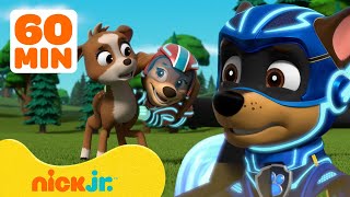 Chase and Skye Rescue Missions and MORE  PAW Patrol  Cartoons for Kids [upl. by Kolivas]