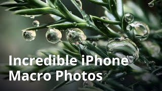 How To Take Incredible Macro Photos With Your iPhone [upl. by Mellie981]