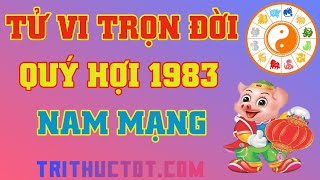 🔴 Tử Vi Trọn Đời Tuổi Quý Hợi 1983 Nam Mạng [upl. by Marlena]