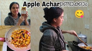 നമുക്കൊരു Apple Achar ഉണ്ടാക്കാം 🍎 Apple Achar recipe [upl. by Ahsinyd]