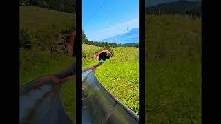 Tobogganing ride Switzerland switzerland mountains pilatus [upl. by Llerdnod]