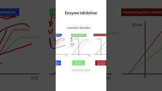 Competitiv Uncompetitive amp Noncompetitive inhibition tcml [upl. by Nirro]