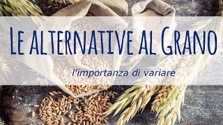 Le alternative al grano limportanza di variare [upl. by Gati]