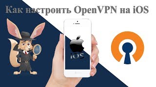 Как настроить OpenVPN на iOS [upl. by Nilre]