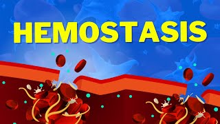 Hemostasis  How We Stop Bleeding [upl. by Ahsinak]