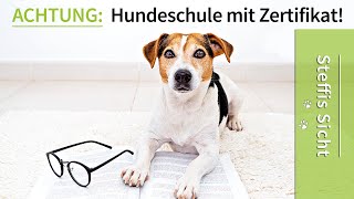 Hundeschule ➡️ ACHTUNG Zertifizierte Hundeschule Macht ein Zertifikat Sinn [upl. by Charmaine]