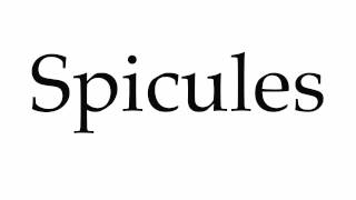 How to Pronounce Spicules [upl. by Rafter622]