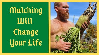 Mulching The Garden For Success  How And Why  Essential For Soil Health [upl. by Downall]