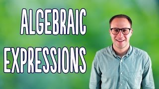 Algebraic Expressions Basics [upl. by Gerlac]