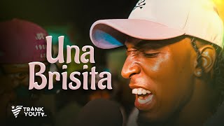 MC Albertico  UNA BRISITA 🌬️💨 Video Official [upl. by Turk]