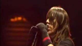 Red Hot Chili Peppers live  Dani California Part 216 [upl. by Eiramyma]