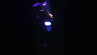 I turned Christmas coal into a practical glow stick [upl. by Jacqueline15]