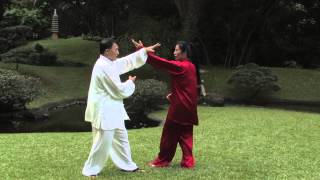 Wang Shangzhi Yin Baguazhang Applications 112914 [upl. by Gideon]