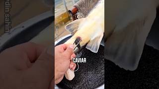 A Method for Harvesting Caviar Without Killing the Fish [upl. by Popelka]