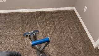 Pet Odor Removal  POV Carpet Cleaning  CRB Vacuuming and Steam Cleaning [upl. by Schell132]