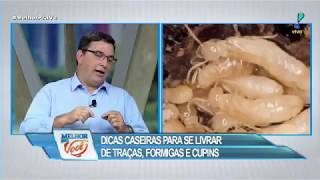 Biólogo dá dicas para se livrar de traças cupins e formigas [upl. by Ciapas]